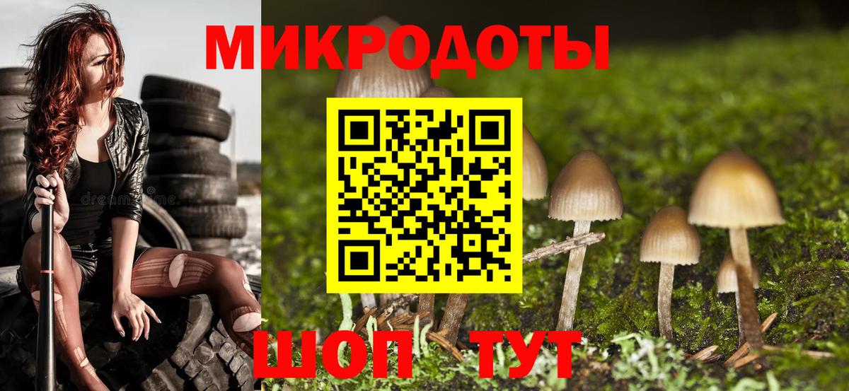 где можно купить наркотик  Галлюциногенные грибы Psilocybine cubensis  Вход с VPN  Ефремов 