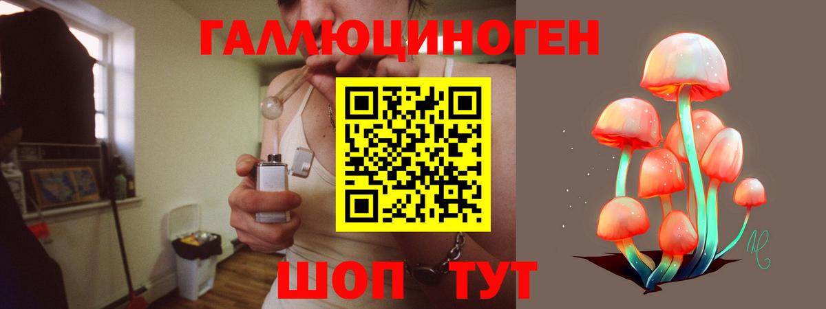 Галлюциногенные грибы Cubensis Ефремов